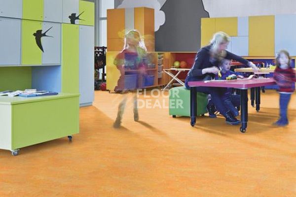 Линолеум Marmoleum Decibel on Order 341135 sunny day фото 1 | FLOORDEALER